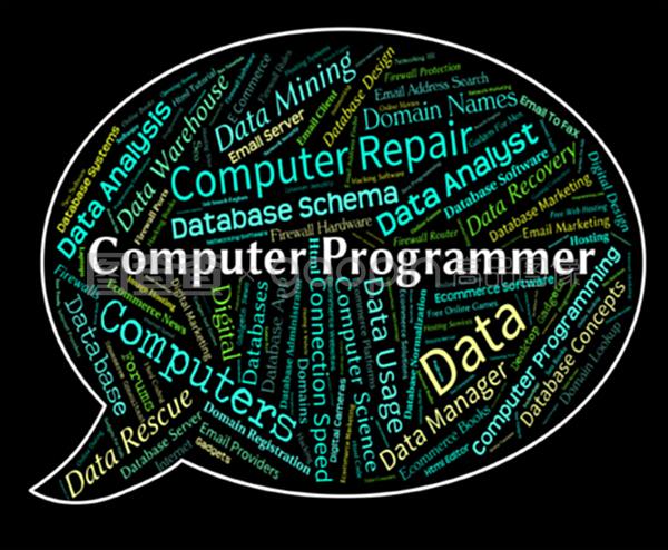 計算機(jī)程序員是指軟件工程師和通信人員